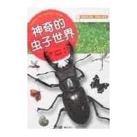 神奇的虫子世界