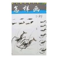 美术爱好者之友：怎样画虾