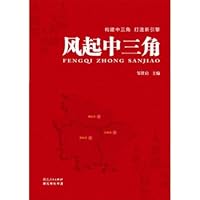 风起中三角