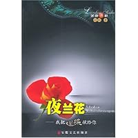 夜兰花:我把酷碟献给你