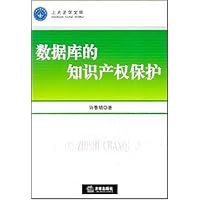 数据库的知识产权保护