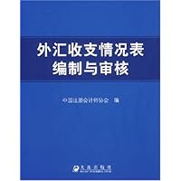 外汇收支情况表编制与审核