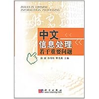 中文信息处理若干重要问题