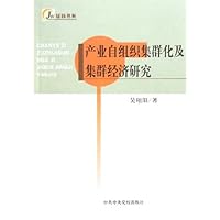 产业自组织集群化及集群经济研究