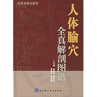 人体腧穴全真解剖图谱