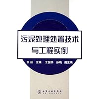 污泥处理处置技术与工程实例