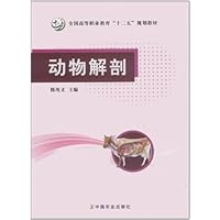 动物解剖