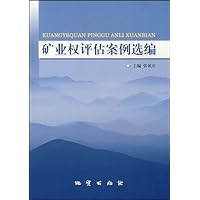 矿业权评估案例选编