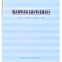 世界排球市场化