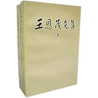 王恩茂文集(上下)(平)