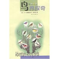 鸟界探奇