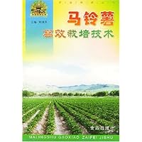 马铃薯高效栽培技术