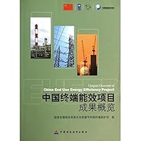 中国终端能效项目成果概览