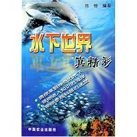 水下世界真精彩