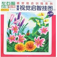 宝宝视觉启智挂图3