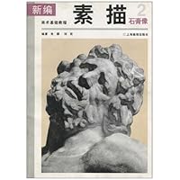 新编基础教程：素描石膏像2