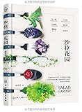 沙拉花园