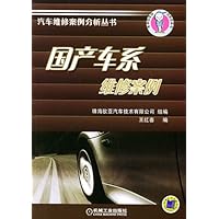 国产车系维修案例