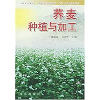 荞麦种植与加工