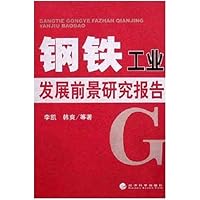 钢铁工业发展前景研究报告
