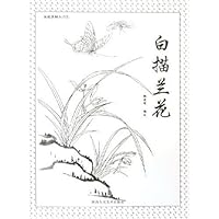 从起步到入门:白描兰花