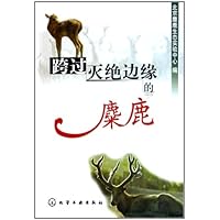 跨过灭绝边缘的麋鹿