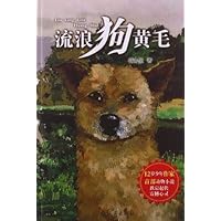 流浪狗黄毛