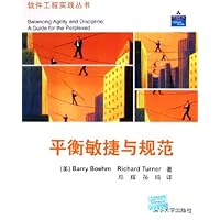 平衡敏捷与规范