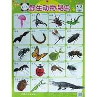 熊猫量子认知挂图(第1辑):野生动物•昆虫