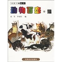 动物百态•猫