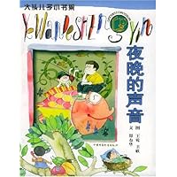 夜晚的声音