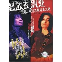 怒放在别处:许巍郑钧吉他音乐之路
