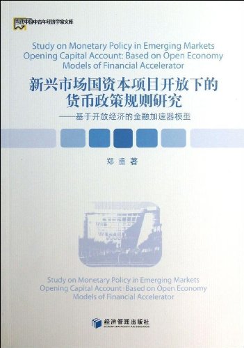 新兴市场国资本项目开放下的货币政策规则研究