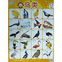 熊猫量子认知挂图(第1辑):可爱动物•鸟类