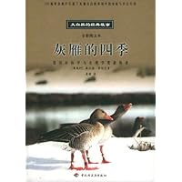 灰雁的四季