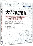 大数据策略(如何成功使用大数据与10个行业案例分享)/大数据应用与技术丛书