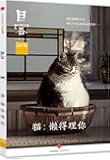 目客004·猫:懒得理你