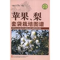 苹果梨套袋栽培图谱