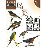 鸟类绘画图典1