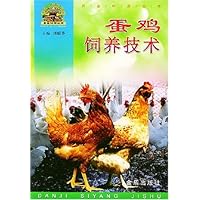 蛋鸡饲养技术