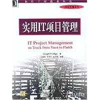 实用IT项目管理(附光盘)