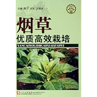 烟草优质高效栽培