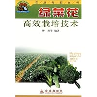 绿菜花高效栽培技术