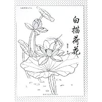 白描荷花:从起步到入门