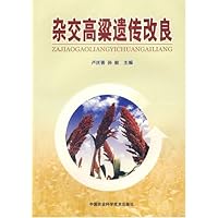 杂交高粱遗传改良