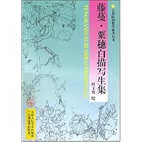 藤蔓粟穗白描写生集