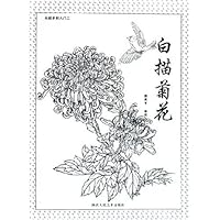 白描菊花:从起步到入门