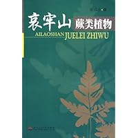 哀牢山蕨类植物