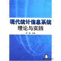 现代统计信息系统理论与实践