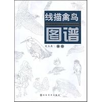 线描禽鸟图谱